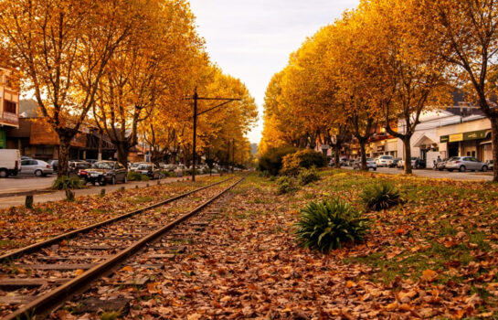 Por que Campos do Jordão fica mais frio no outono? Clima da estação já começa a mudar na serra