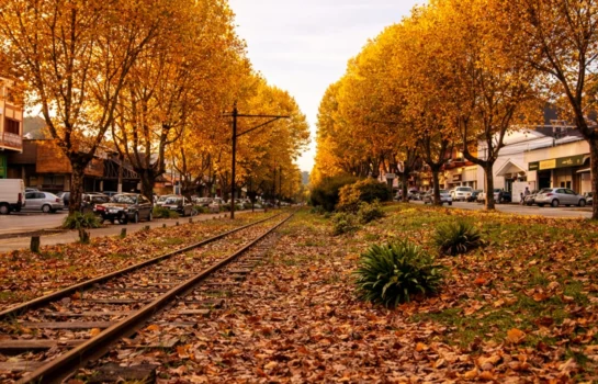 Por que Campos do Jordão fica mais frio no outono? Clima da estação já começa a mudar na serra