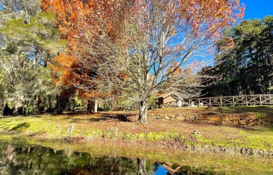 Previsão do tempo em Campos do Jordão: semana terá sol, frio típico de serra e clima ideal para turismo