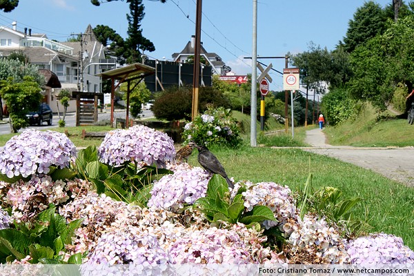 28_133813_img_0770_199