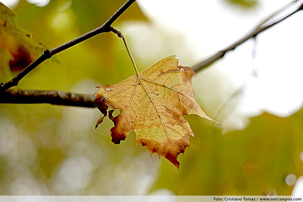 331_173515_img_5925_212