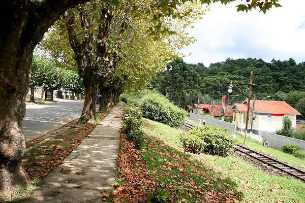 425_185555_img_3274_167