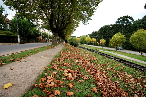 425_191634_img_3333_167