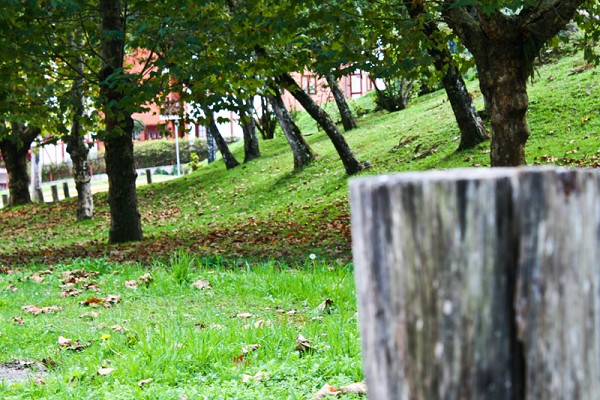 42_115952_img_1081_182