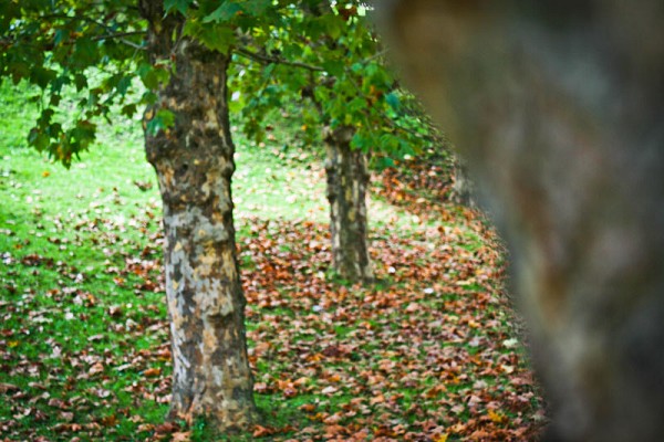 42_1215_img_1127_182