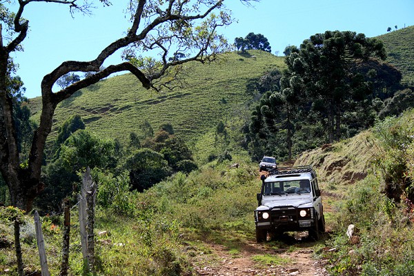 618_181139_img_4634_154