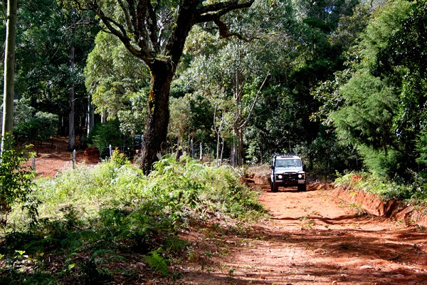 618_18914_img_4569_154