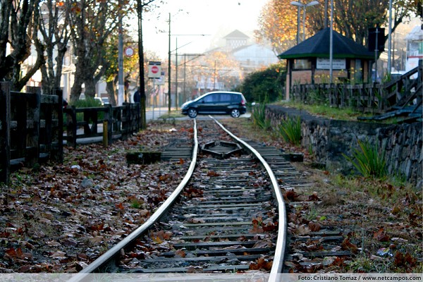 65_111850_img_3242_202