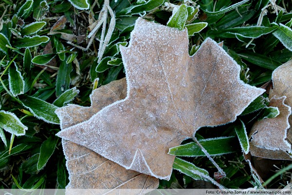 65_11241_img_3319_202