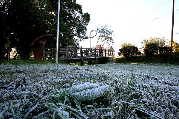 68_11248_img_4140_170