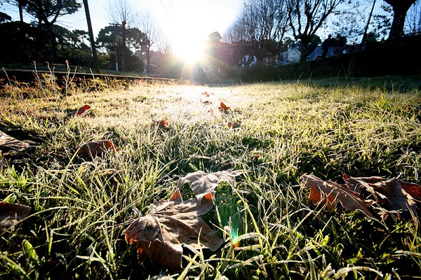 68_19135_img_5981_153