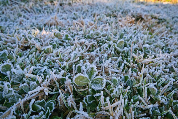 713_8515_img_5225_171