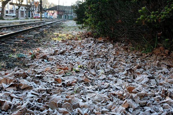 716_184152_img_3831_187