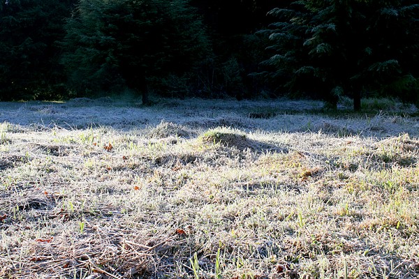 716_184646_img_3968_187