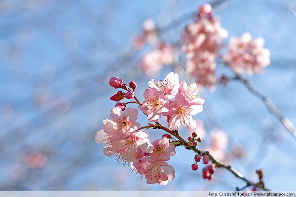 722_173846_img_8531_217