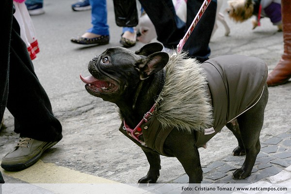 724_105449_img_7850_205