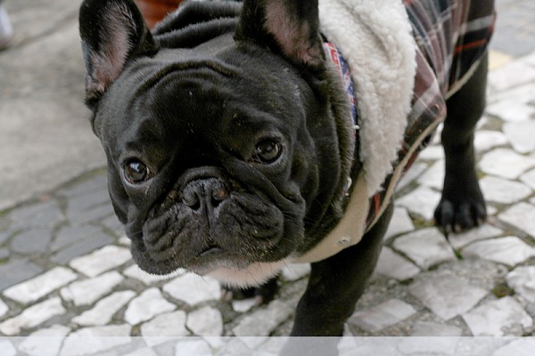 724_10551_img_7852_205