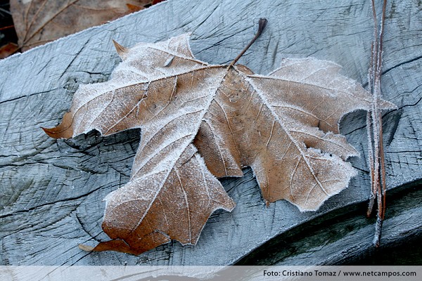 728_114147_img_4383_189