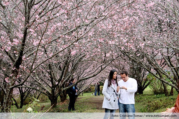 814_114223_img_6084_192