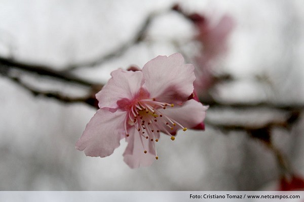 814_114311_img_6099_192