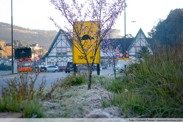 87_163921_img_9310_208