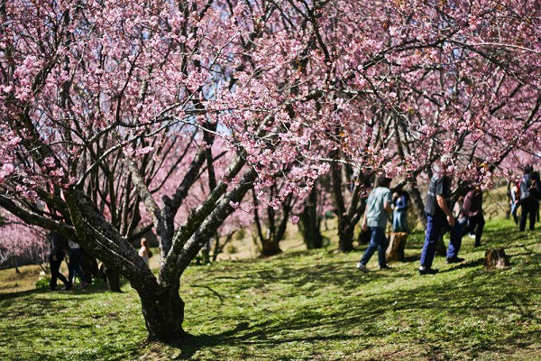 88_114343_img_9820_209