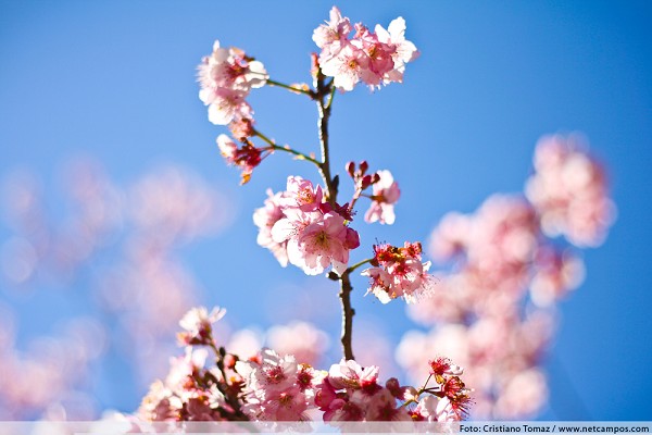 88_11450_img_9829_209