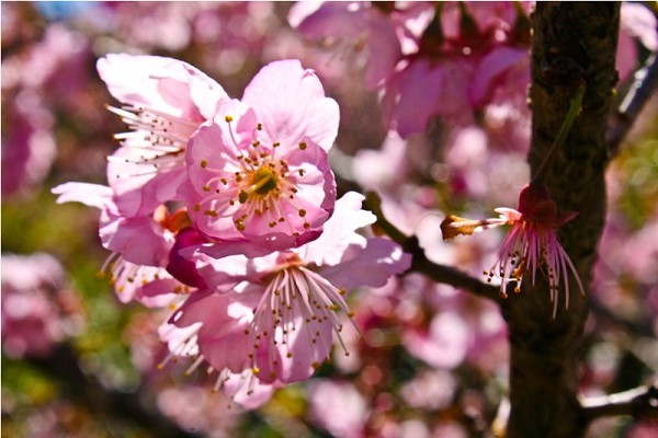 88_17515_img_8066_177