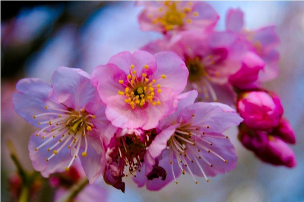 88_175640_img_8101-2_177