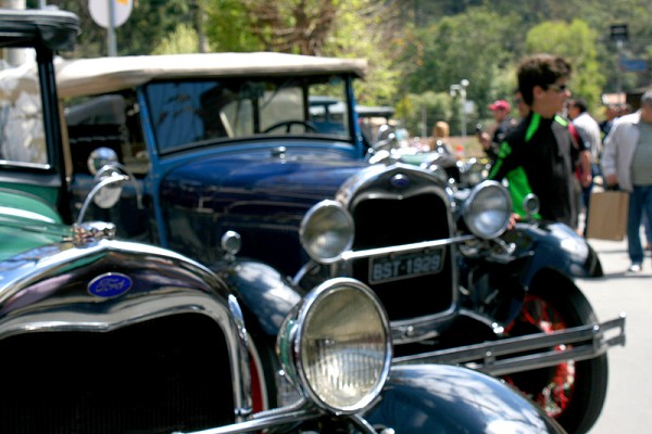 919_172016_img_8770_179