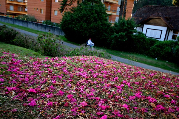 91_84918_img_8599_178