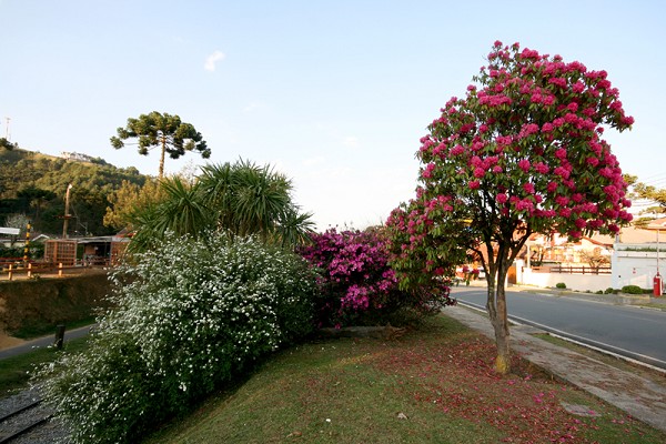 91_85312_img_8685_178