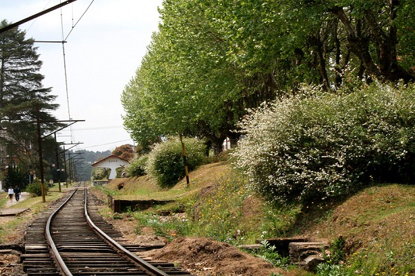 920_164659_primavera-campos-do-jordao-13_161