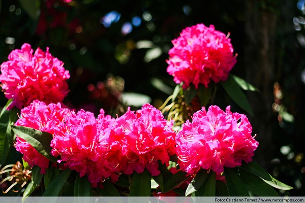 925_1289_img_2335_210