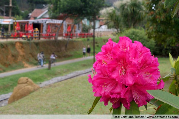 925_151226_img_7286_194