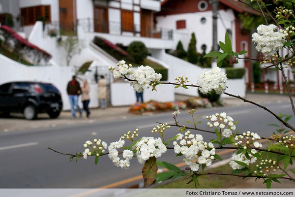 925_15637_img_7189_194