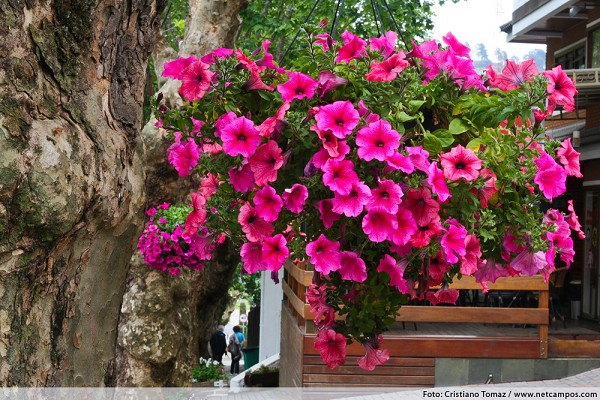 926_10487_img_0290_218