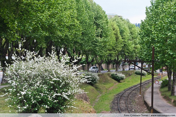 926_11145_img_0216_218