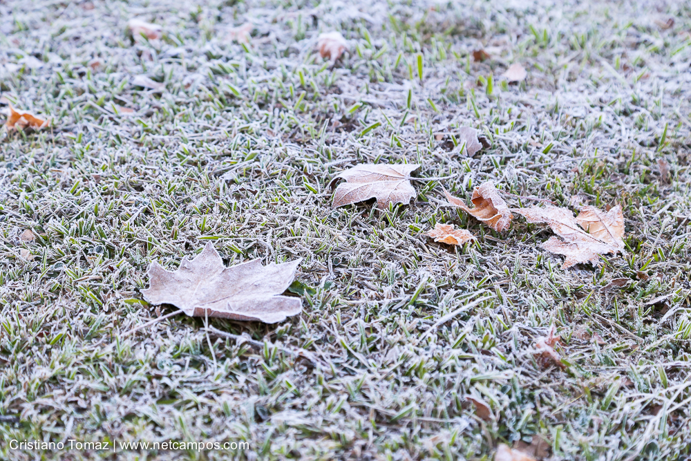 Geada-em-Campos-por-Cristiano-Tomaz-7542
