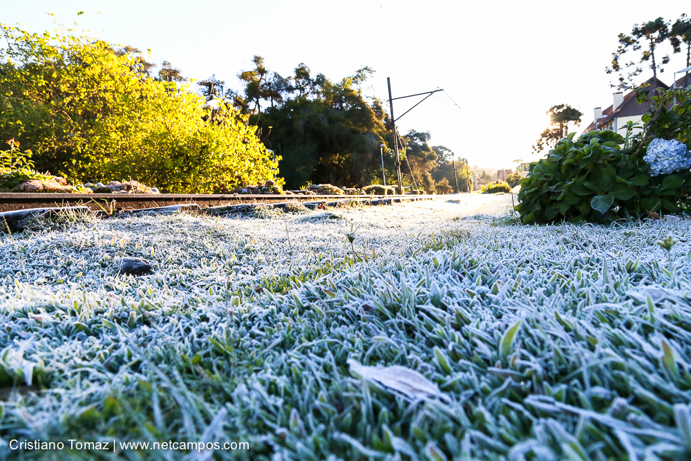 Geada-em-Campos-por-Cristiano-Tomaz-7561