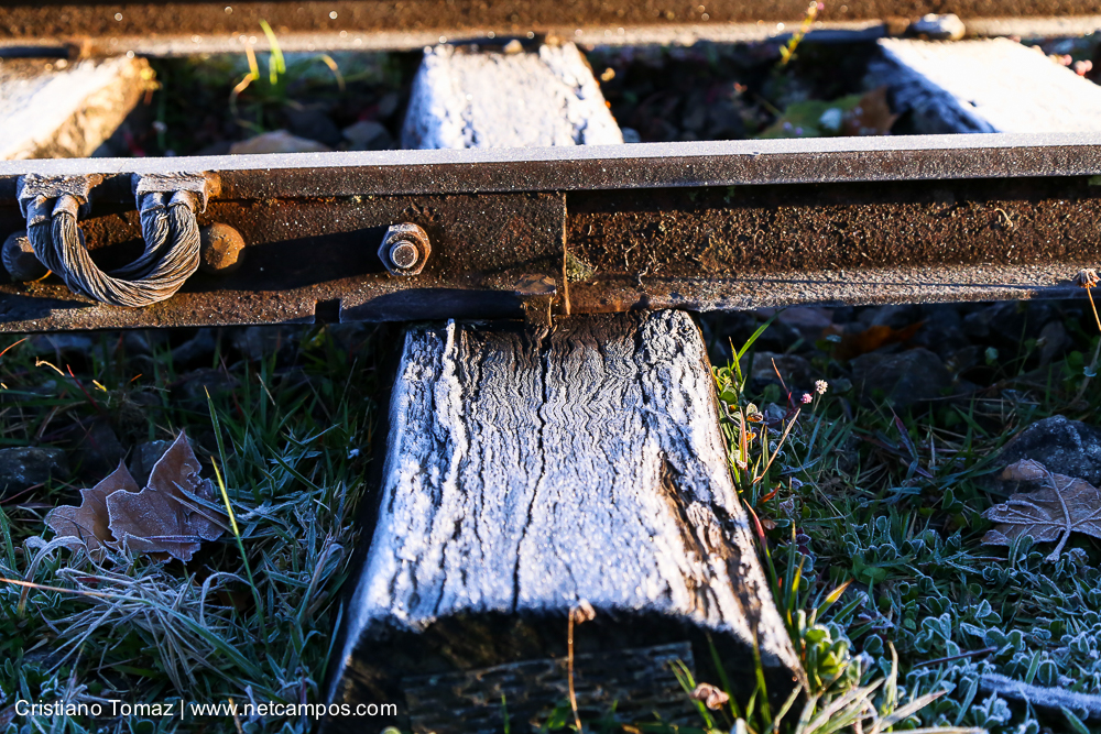 Geada-em-Campos-por-Cristiano-Tomaz-7562