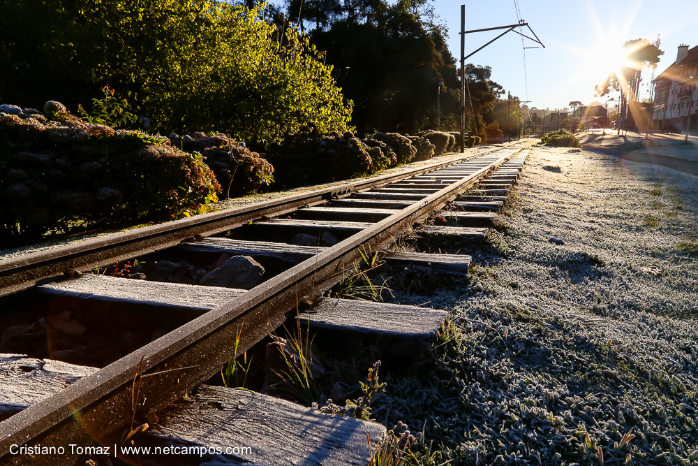 Geada-em-Campos-por-Cristiano-Tomaz-7567