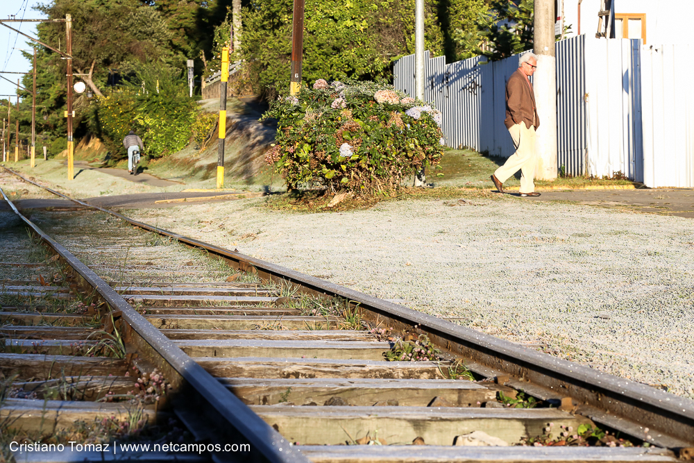 Geada-em-Campos-por-Cristiano-Tomaz-7581