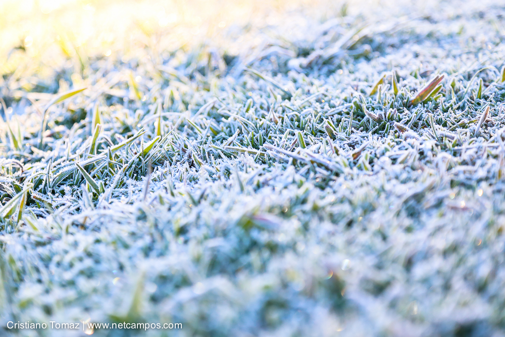 Geada-em-Campos-por-Cristiano-Tomaz-7610
