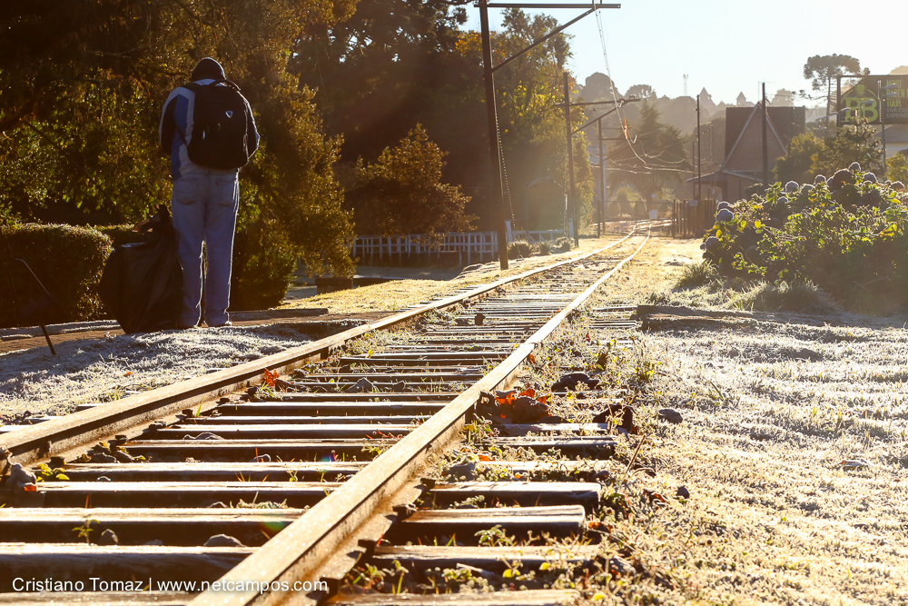 Geada-em-Campos-por-Cristiano-Tomaz-7616