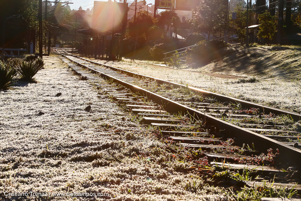 Geada-em-Campos-por-Cristiano-Tomaz-7636
