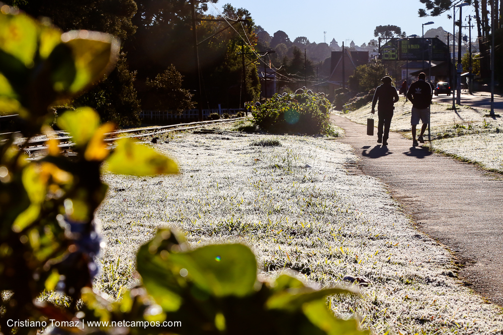 Geada-em-Campos-por-Cristiano-Tomaz-7657