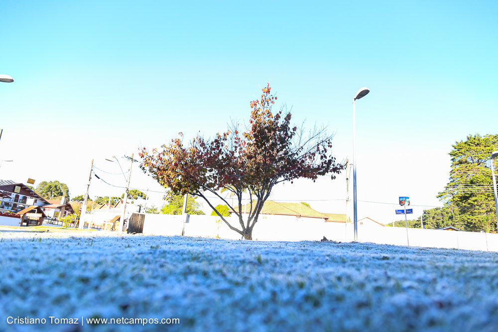 Geada-em-Campos-por-Cristiano-Tomaz-7677