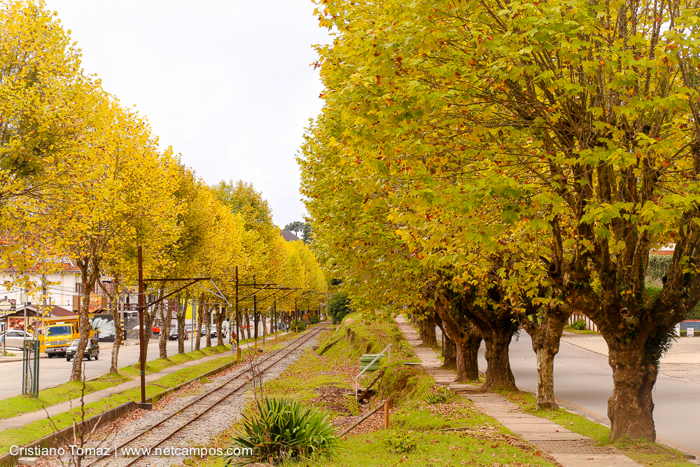 Outono-2018-campos-do-jordao-Cristiano-Tomaz-11