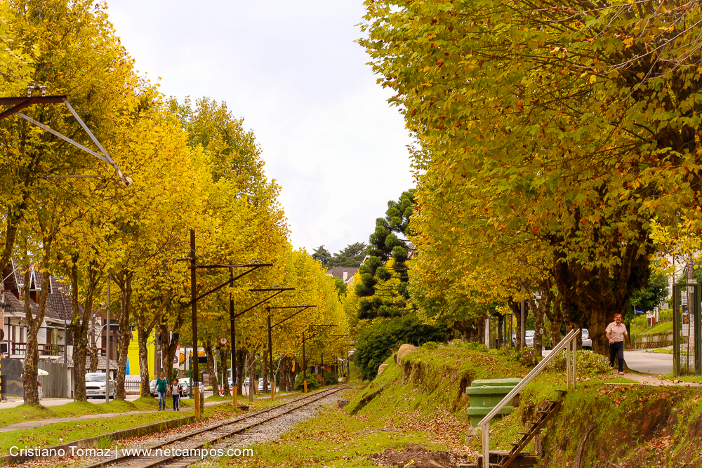 Outono-2018-campos-do-jordao-Cristiano-Tomaz-12